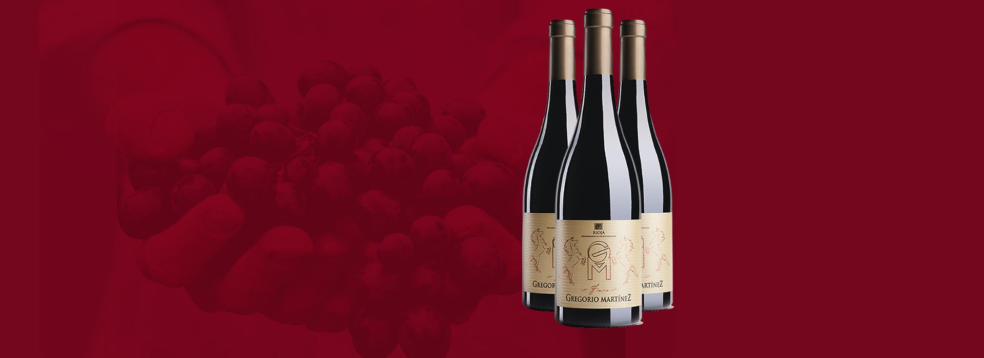 Vinho Tinto Espanhol Cupani Rioja